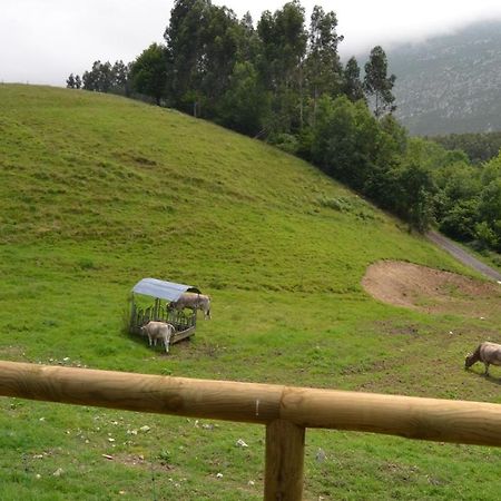 Ruiloba II Villa Ribadesella Dış mekan fotoğraf